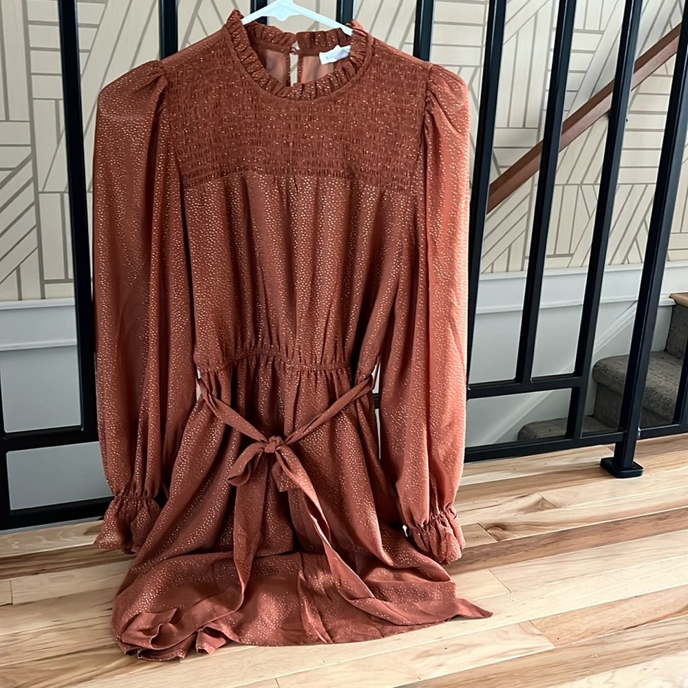 Rust with gold dots mini dress